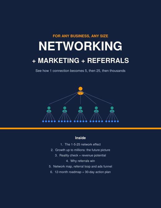 Level 1 guide cover: The Network Effect